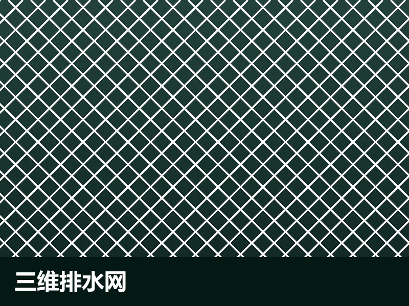 三维排水网