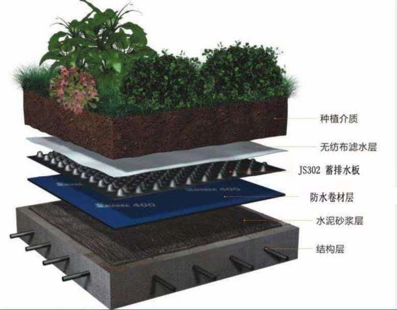 屋面绿化系统结构剖面图